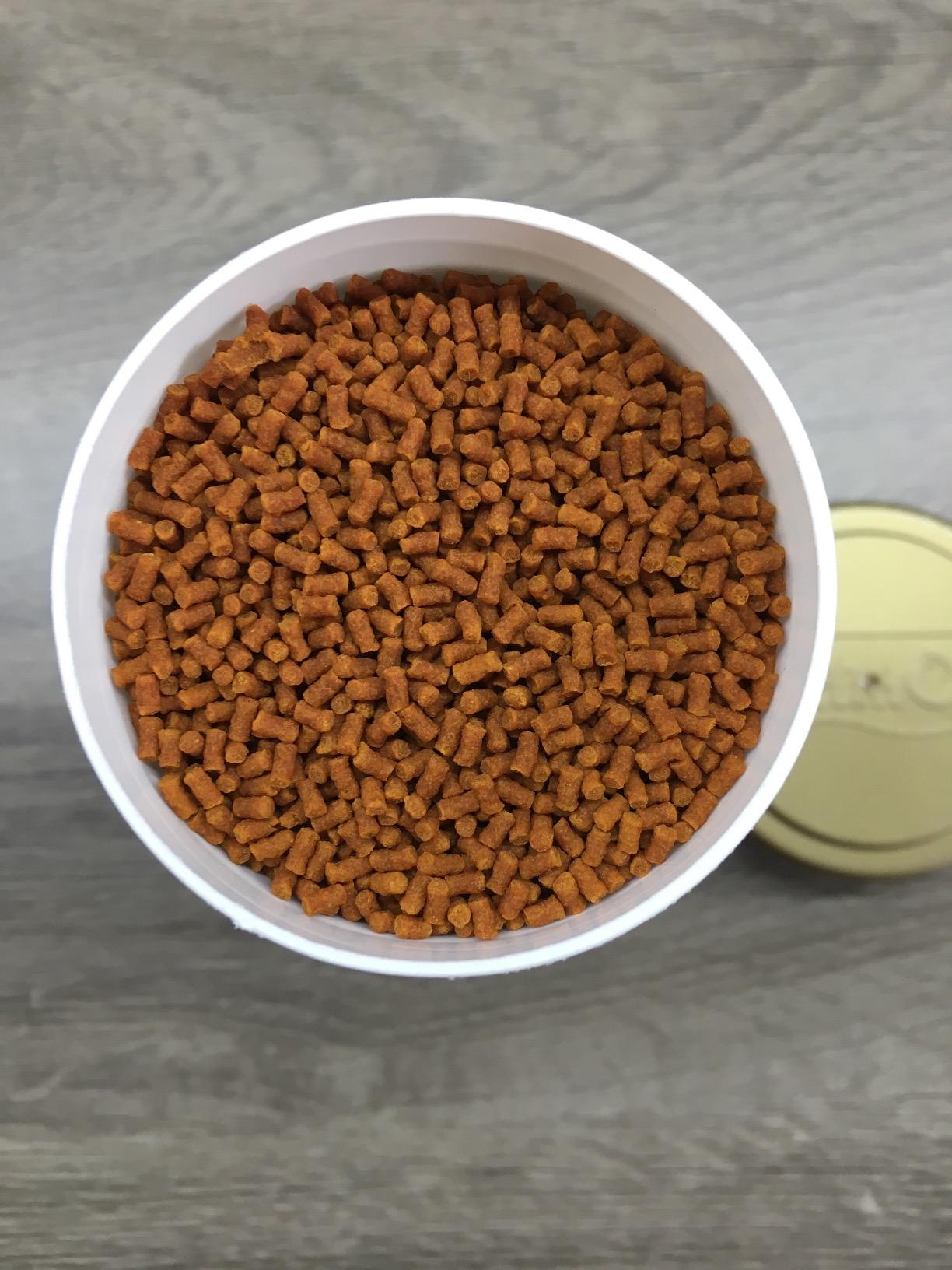 Gutes Goldfischfutter