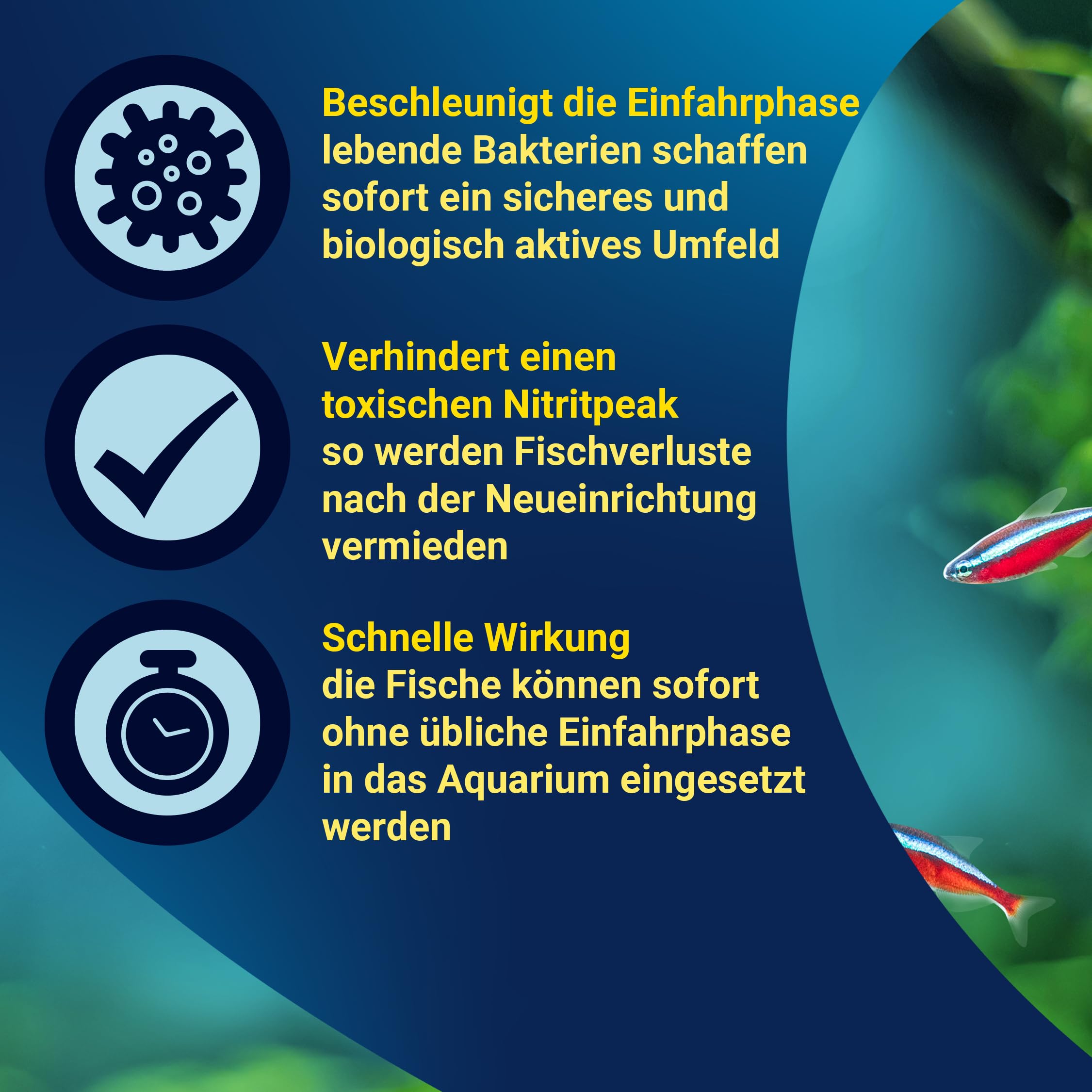 tetra-safestart-aquarienstarter-100-ml-flasche image 4