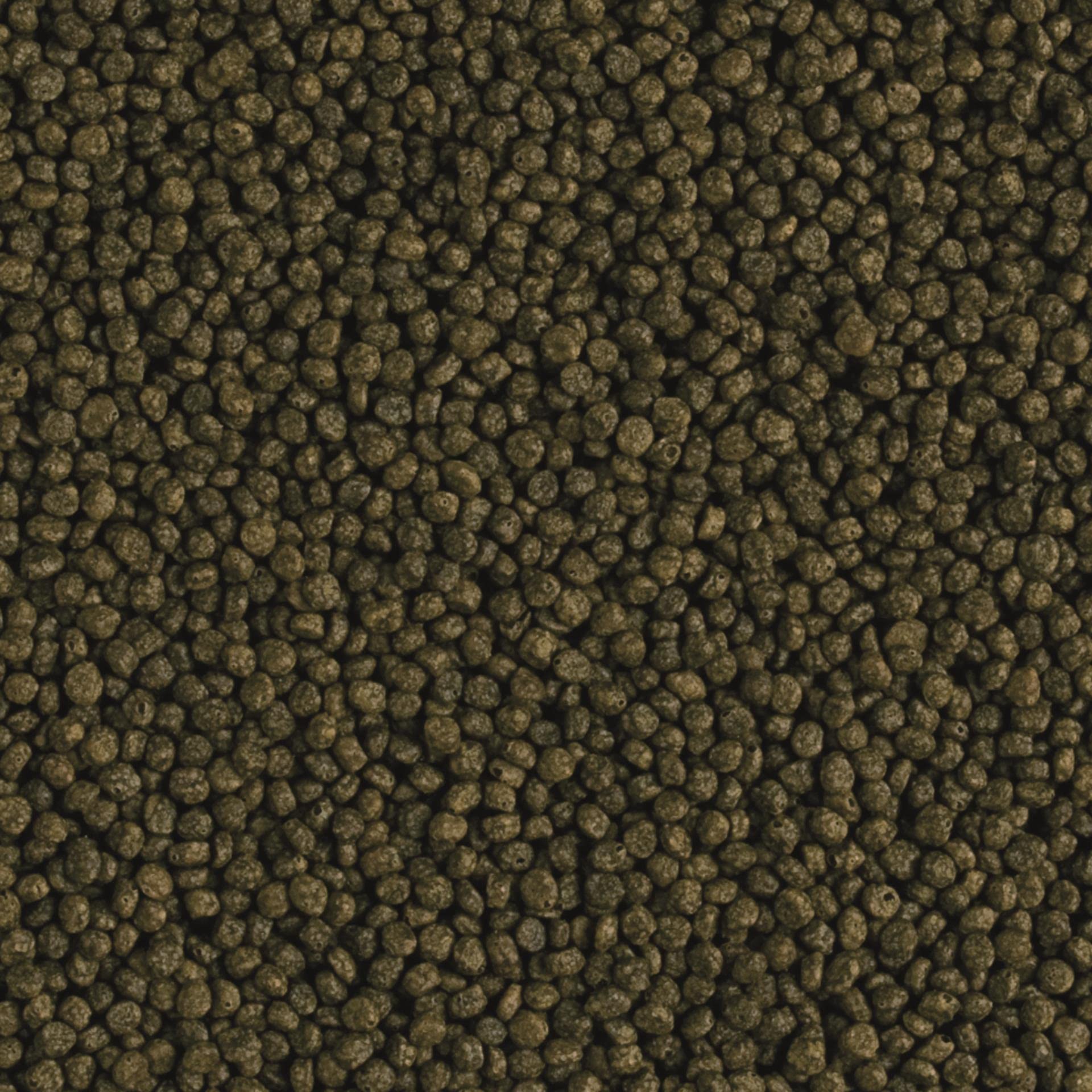 tropical-flower-horn-young-pellet-fischfutter-3000-ml image 2