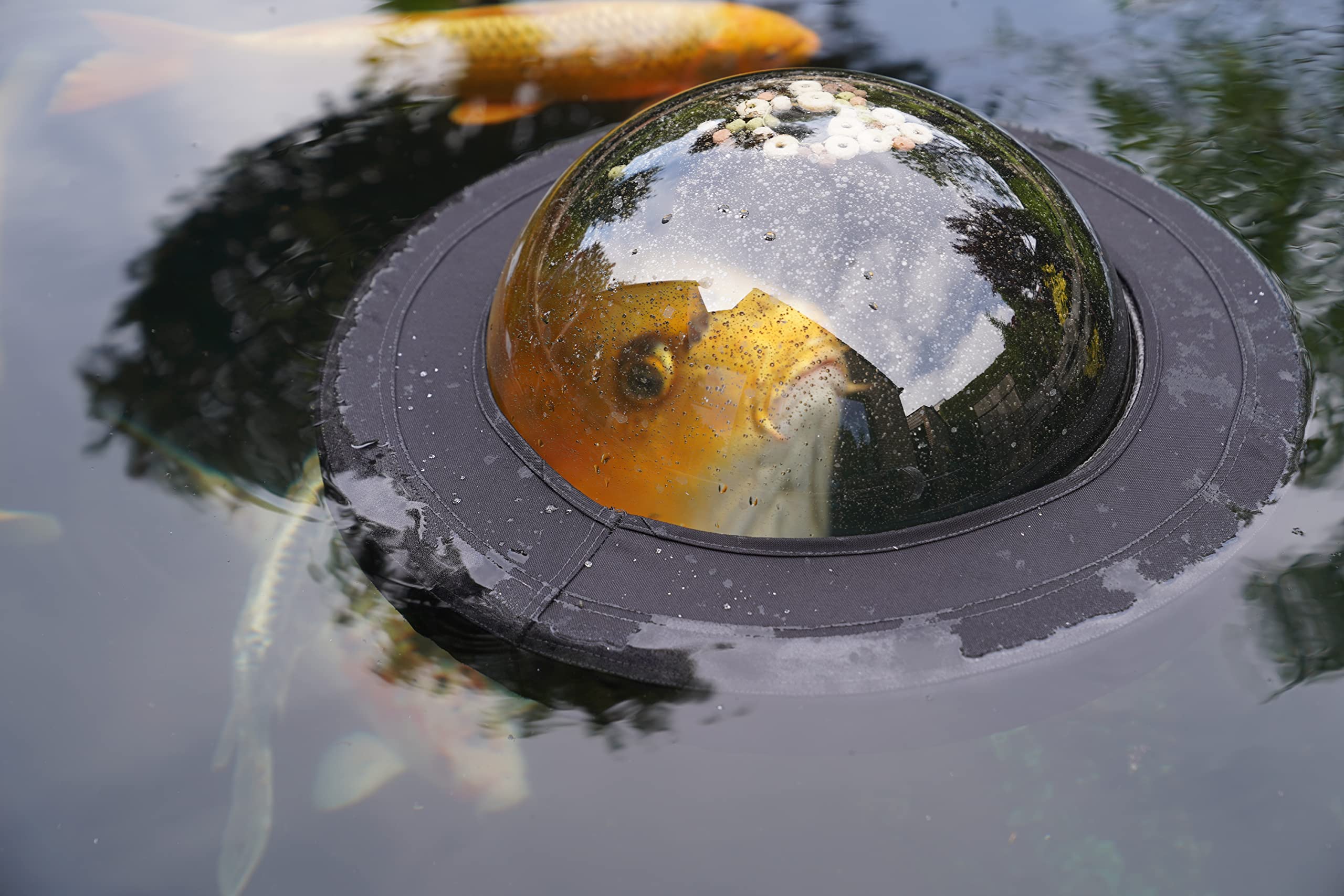 velda-123503-floating-fish-dome-m-35-cm-plexiglas-beobachtungskuppel-f-r-teichfi image 6