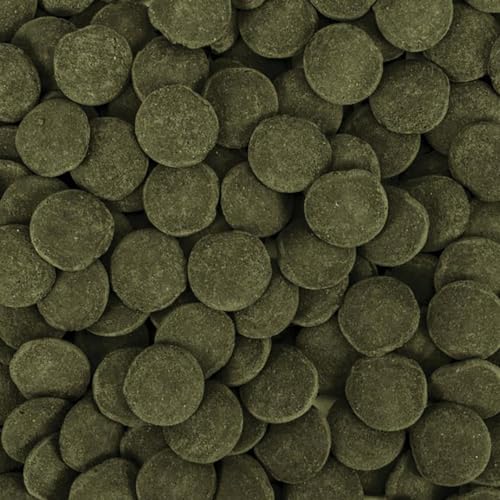 tropical-hi-algae-discs-xxl-bodenfischfutter-250ml image 4