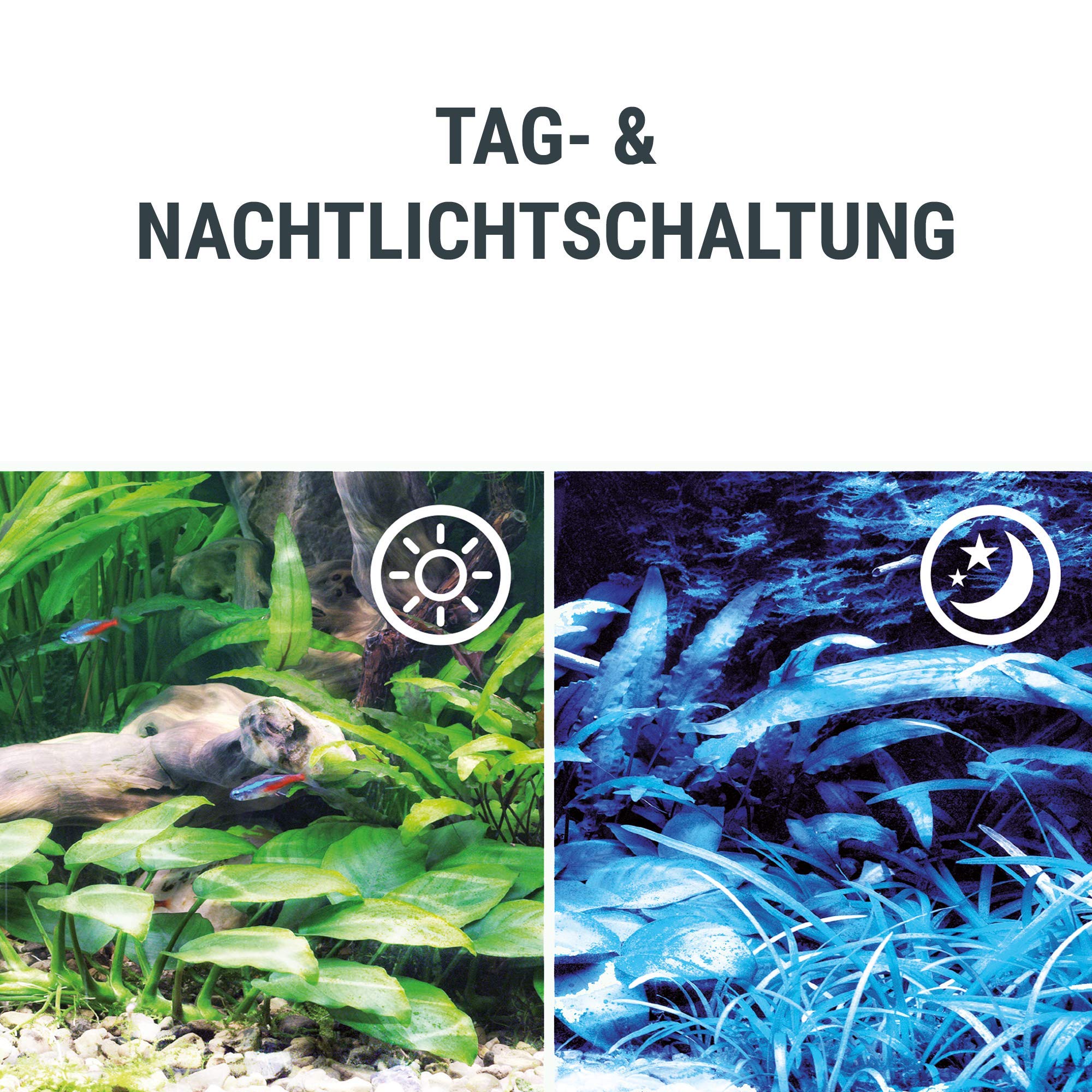 tetra-tetronic-led-proline-380-620-mm-aquarium-beleuchtung-mit-tag-nacht-schaltu image 6