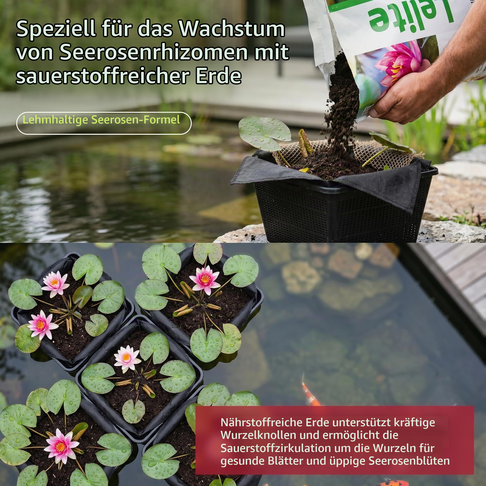 velda-lelite-seerosenerde-mit-blaulehm-teicherde-10-l image 4