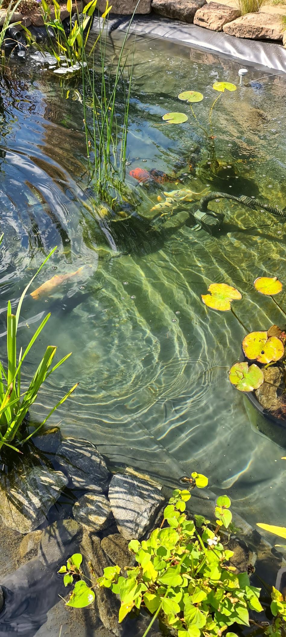 Solide Wasseraufbereitung
