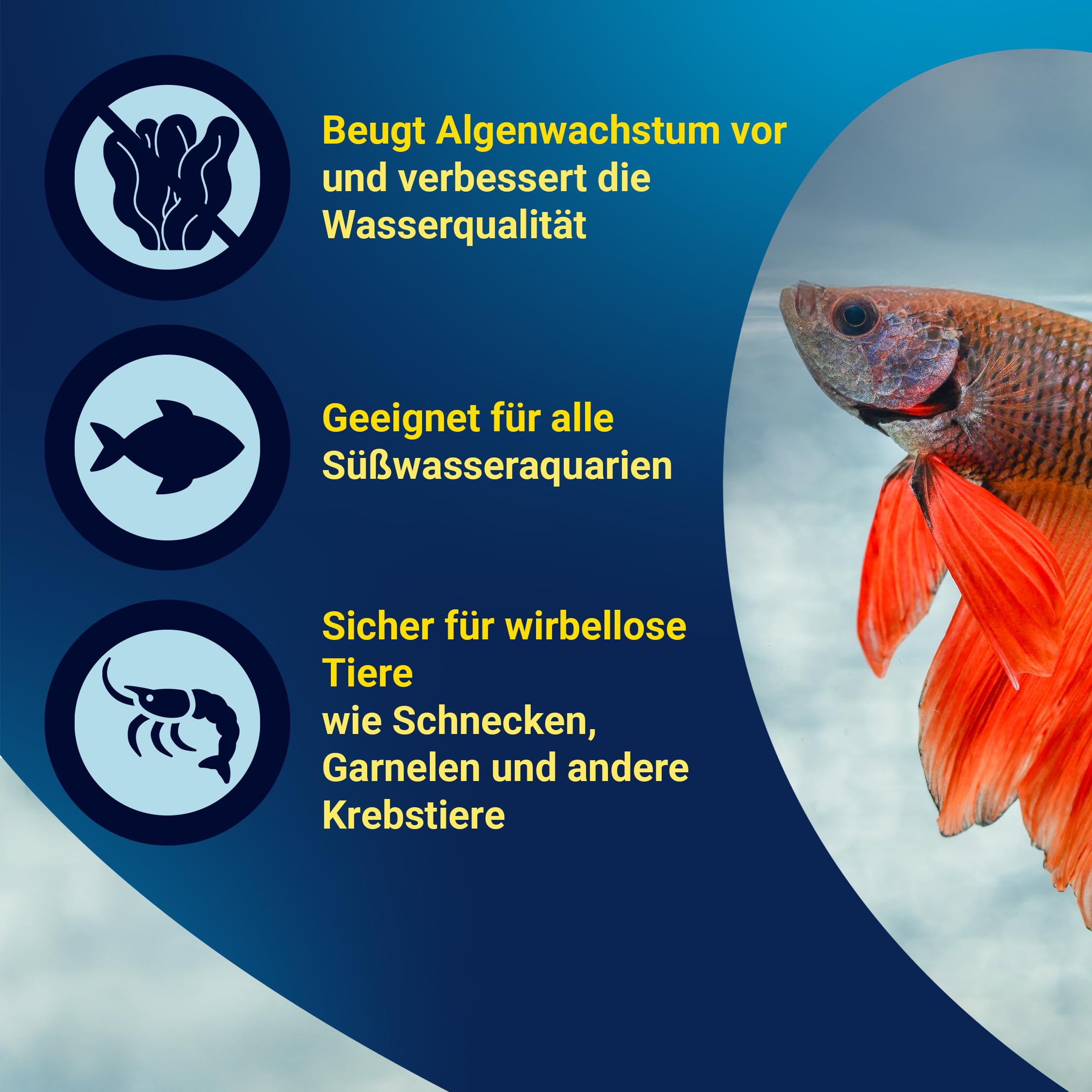 tetra-nitrateminus-wasserpflege-250-ml-f-r-s-und-meerwasser image 4