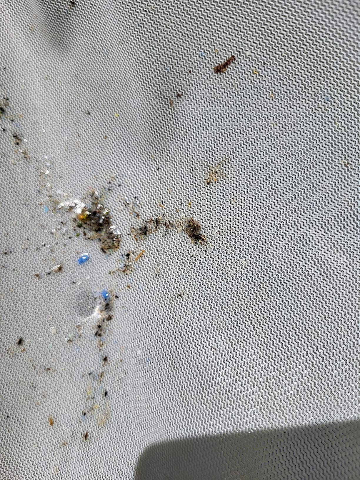 Mein täglicher Helfer am Gartenteich