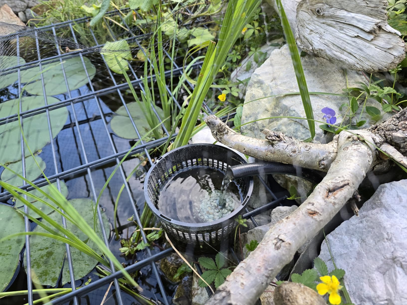 Wasserwerte endlich stabil