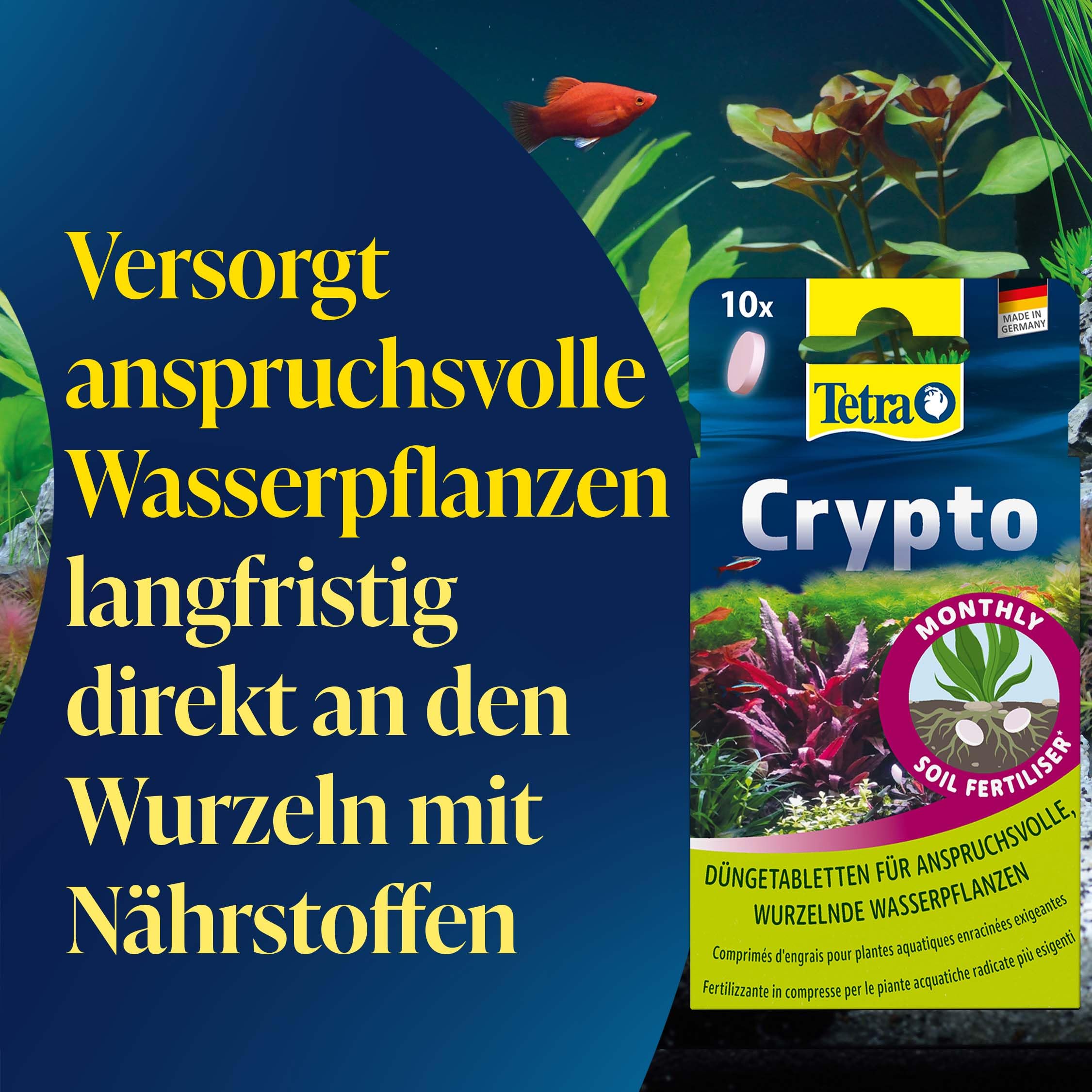 tetra-crypto-d-ngetabletten-wurzel-d-nger-f-r-aquarienpflanzen-10-tabletten image 3