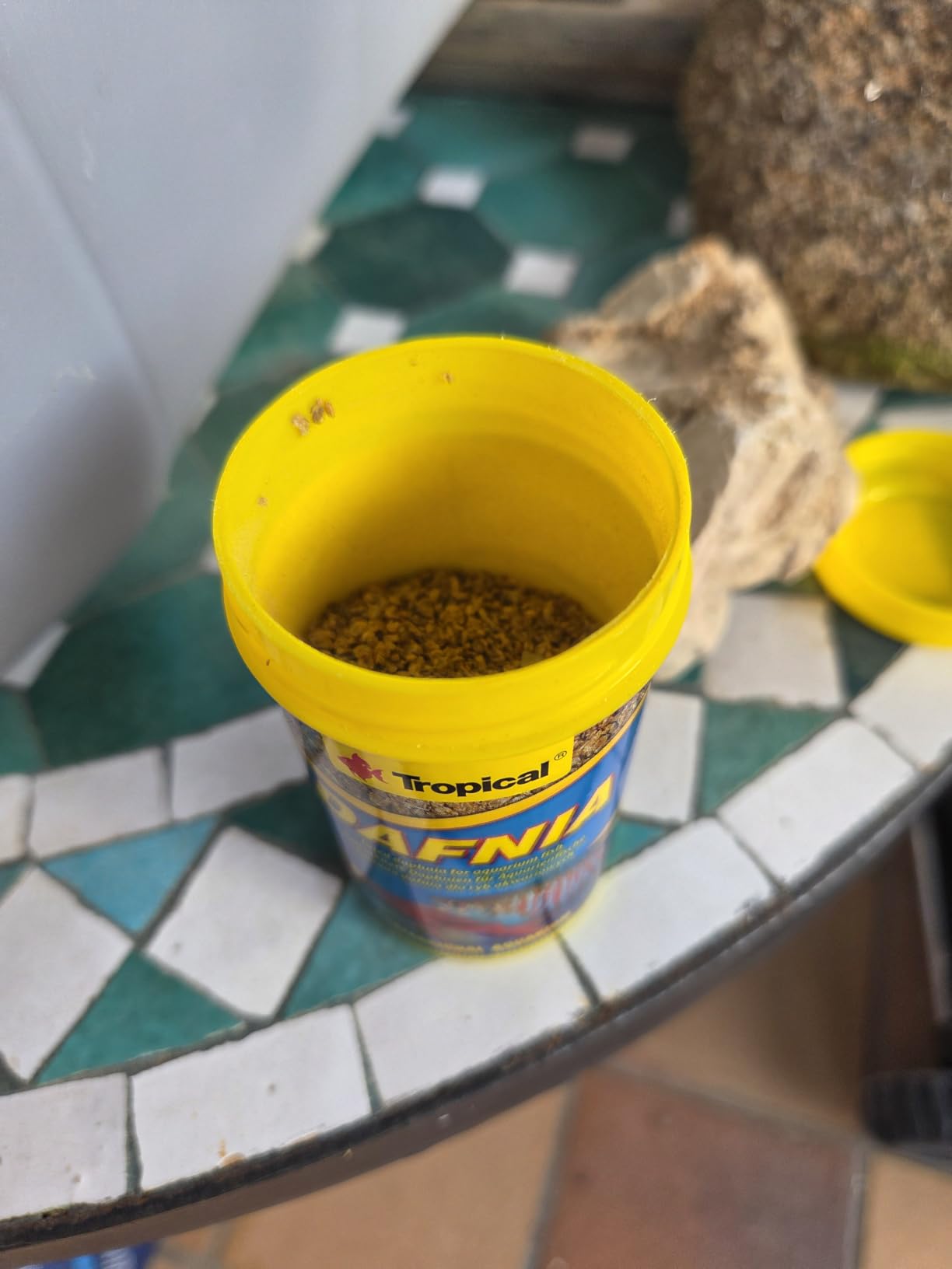 Meine Guppys lieben es