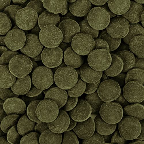 tropical-hi-algae-discs-xxl-3-l-sinkendes-algenfutter image 4