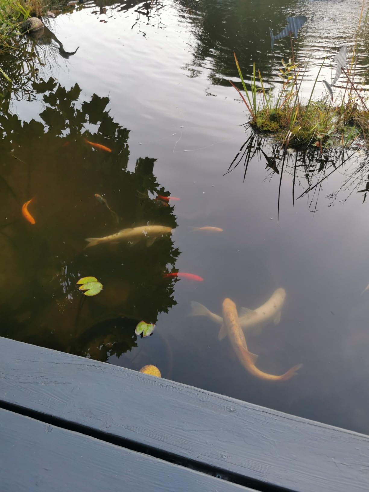Filter läuft in Tagen