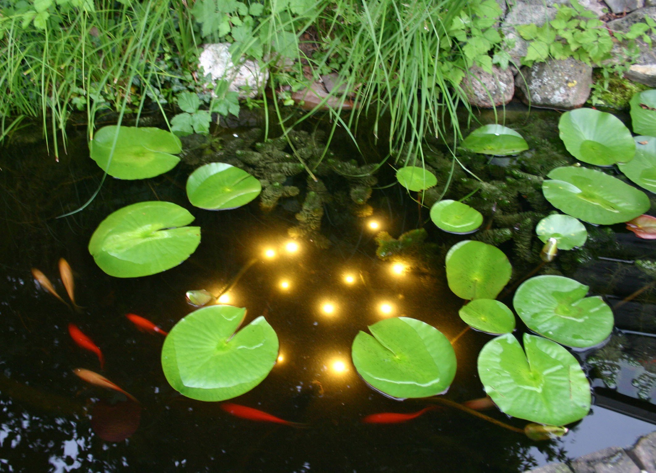 velda-welkin-pond-light-teichbeleuchtung-13-led-3-w-12-v image 4