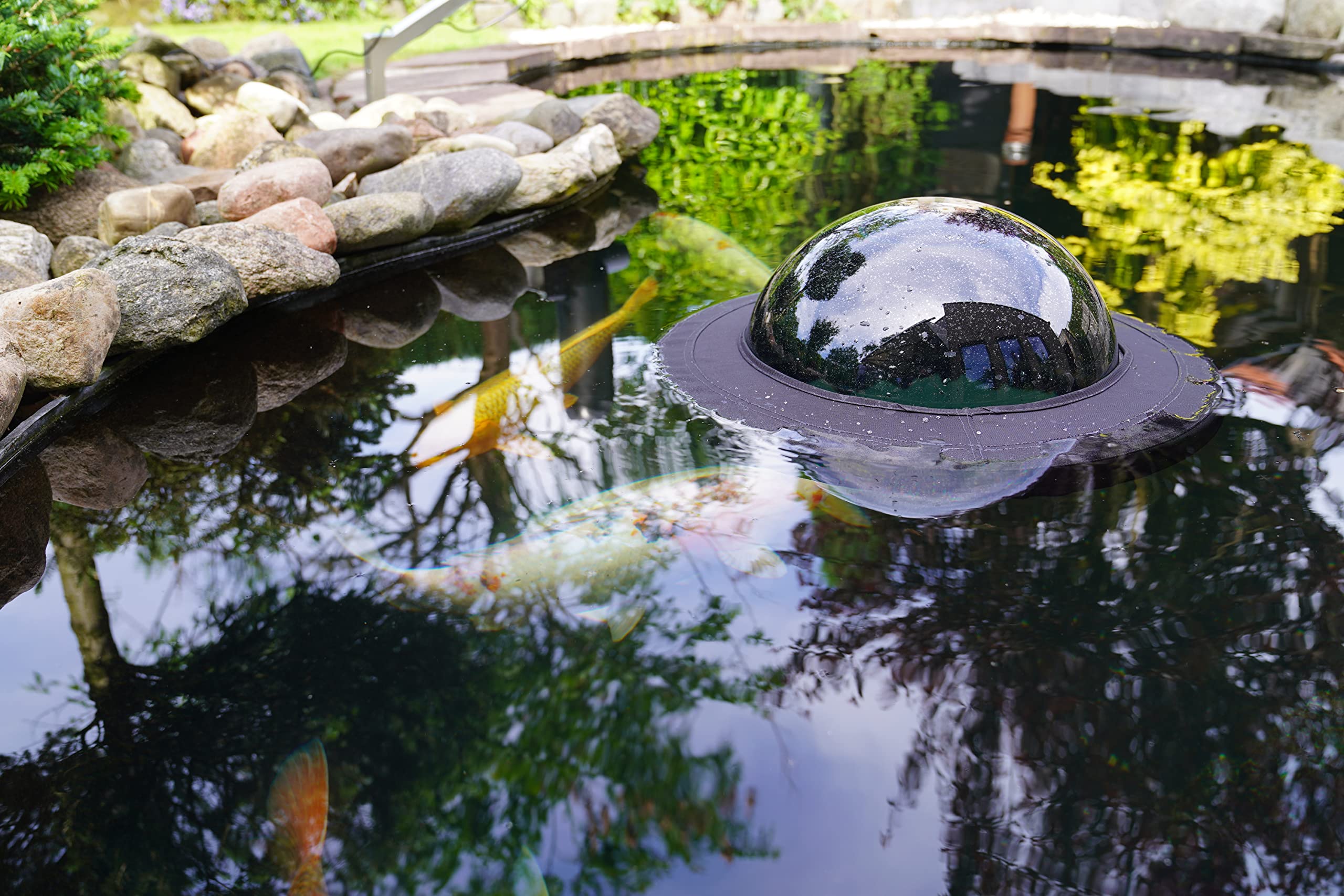 velda-123503-floating-fish-dome-m-35-cm-plexiglas-beobachtungskuppel-f-r-teichfi image 8