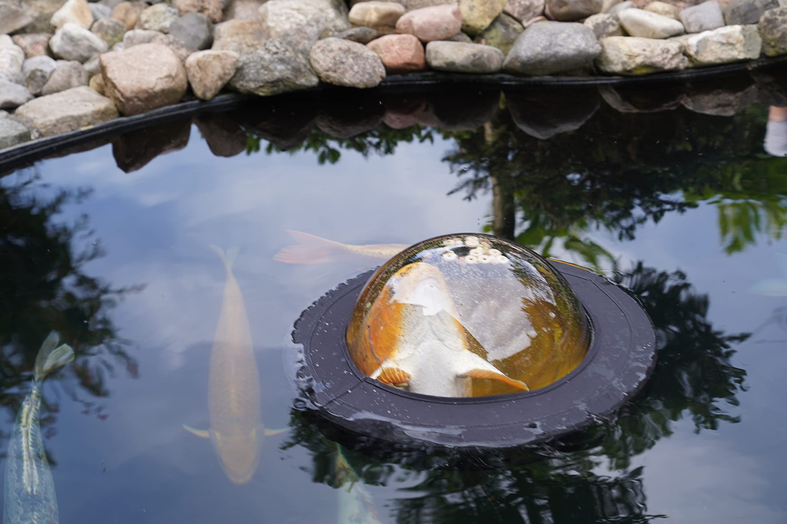 velda-123503-floating-fish-dome-m-35-cm-plexiglas-beobachtungskuppel-f-r-teichfi image 7