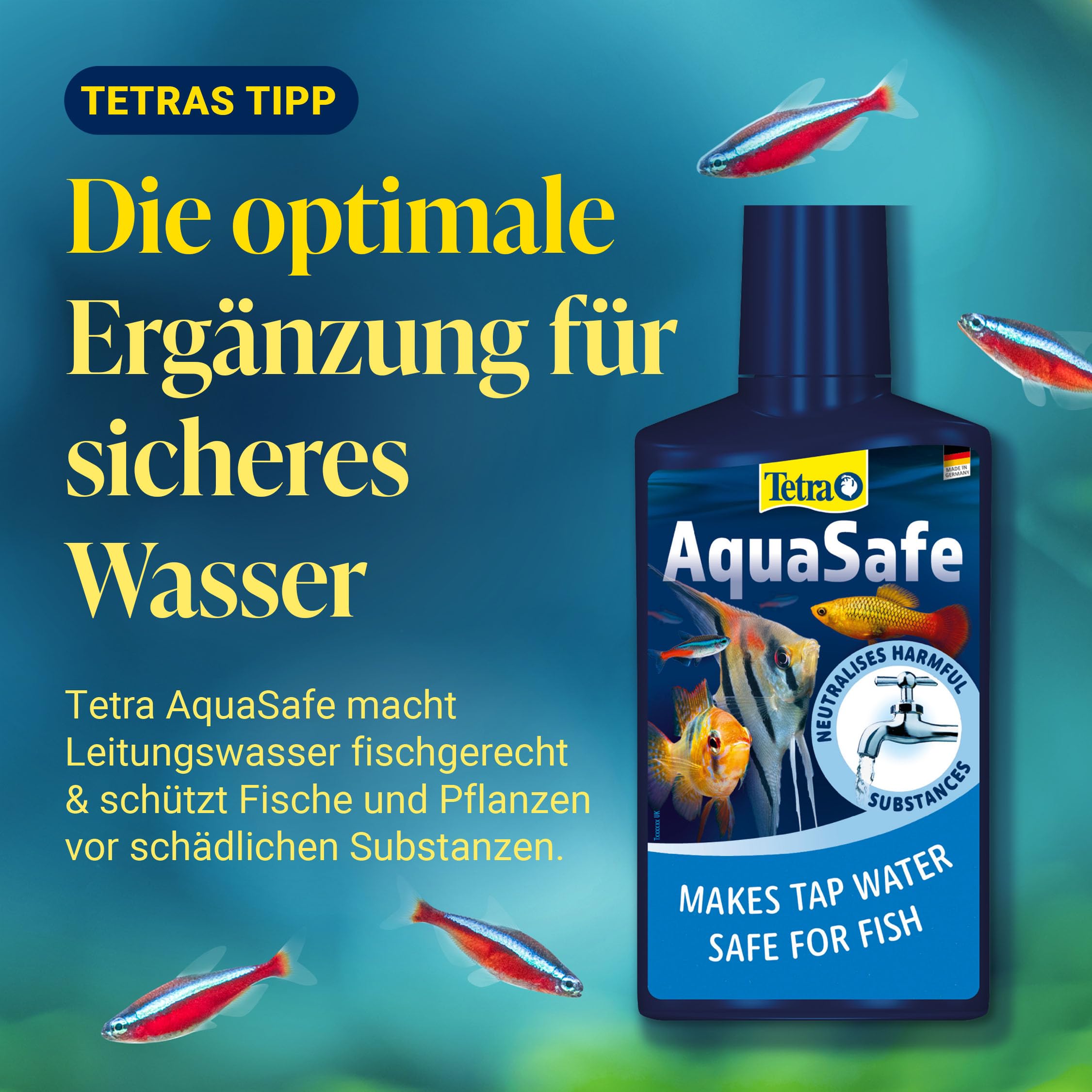 tetra-safestart-aquarienstarter-100-ml-flasche image 8