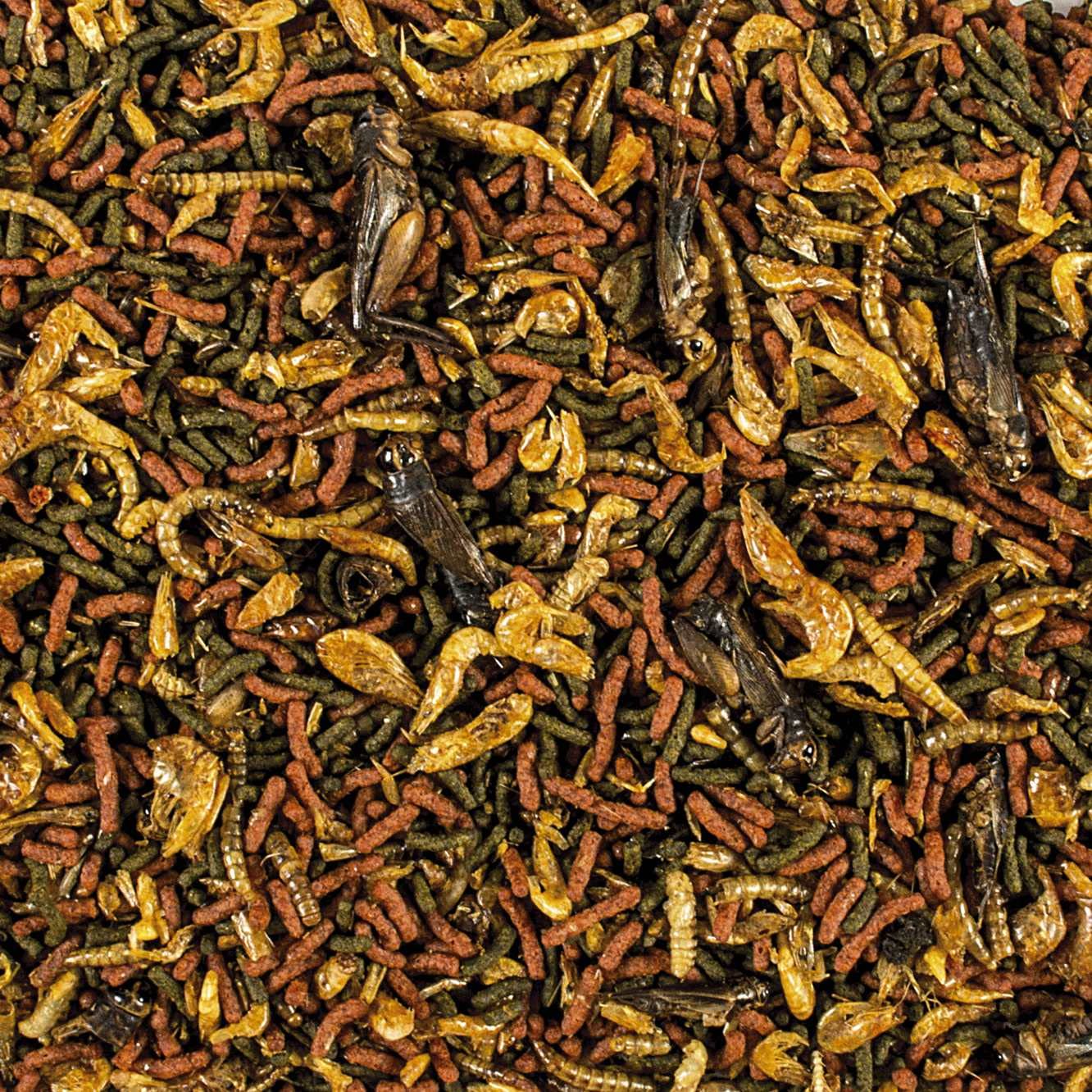 tropical-soft-line-carnivore-weiches-sticks-futter-250ml-80g-f-r-gro-e-fleischfr image 2