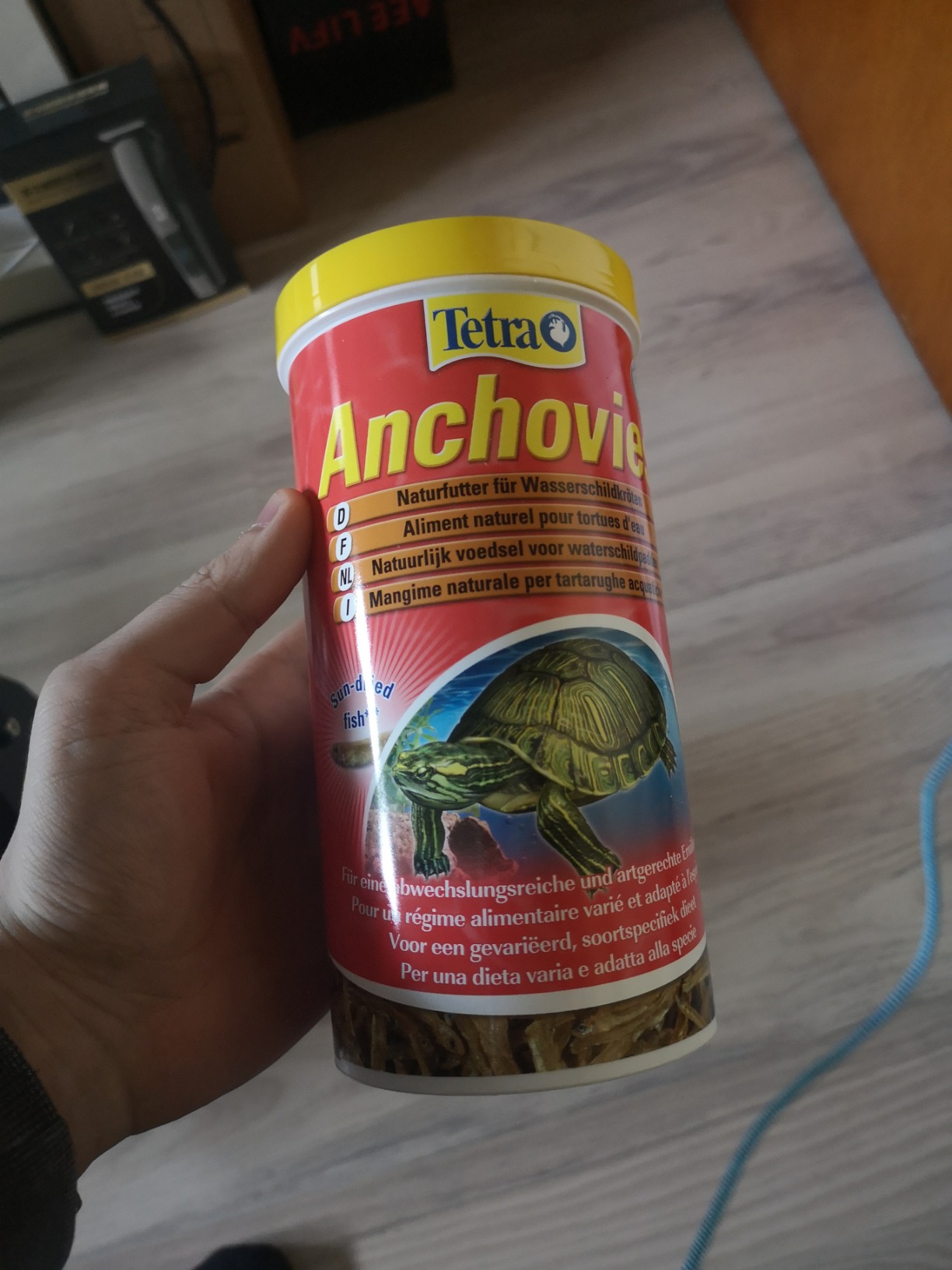 Unsere Schildkröten sind verrückt danach