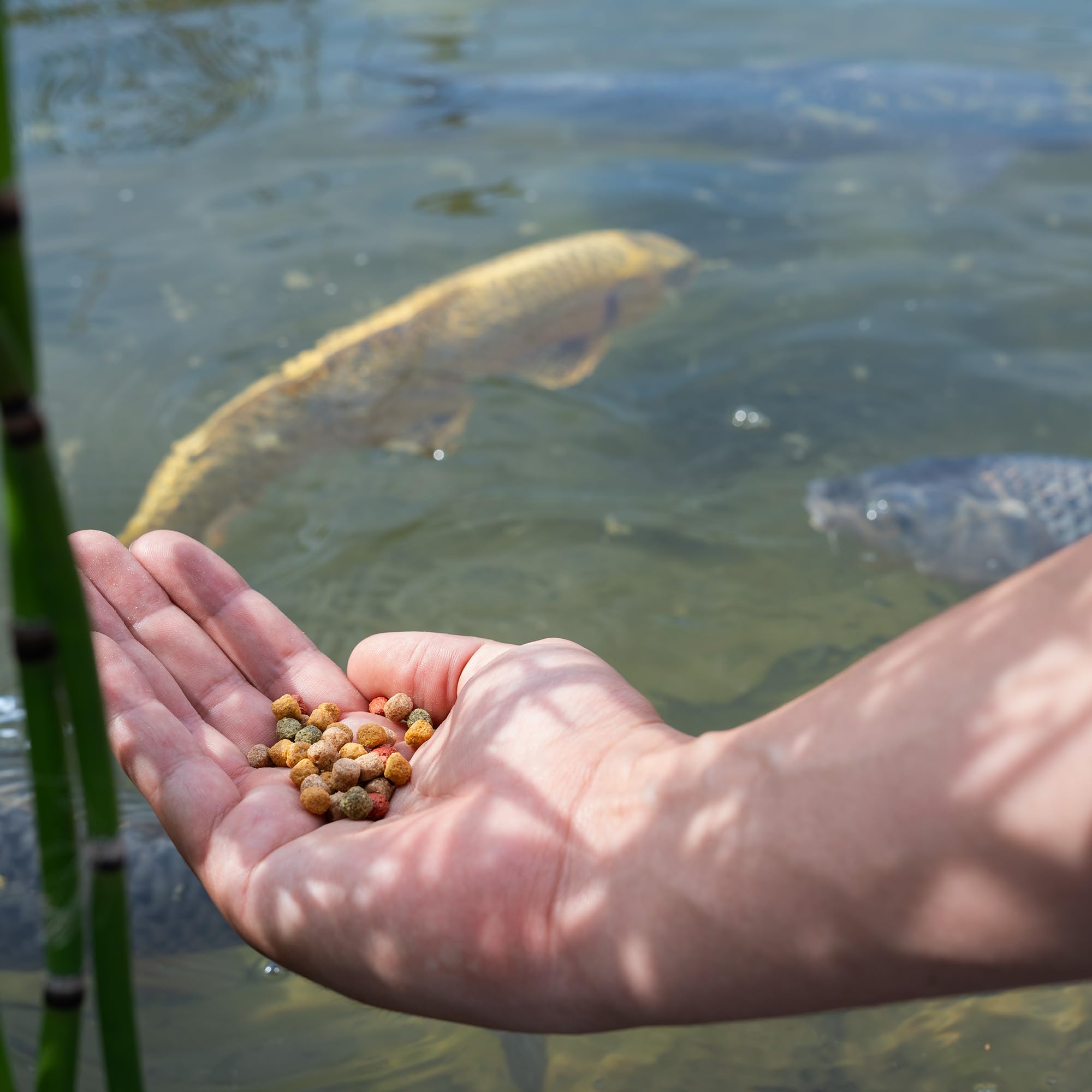 aquaforte-schwimmfutter-zierfische-15-kg-granulat-6-mm-4-sorten-mix image 6