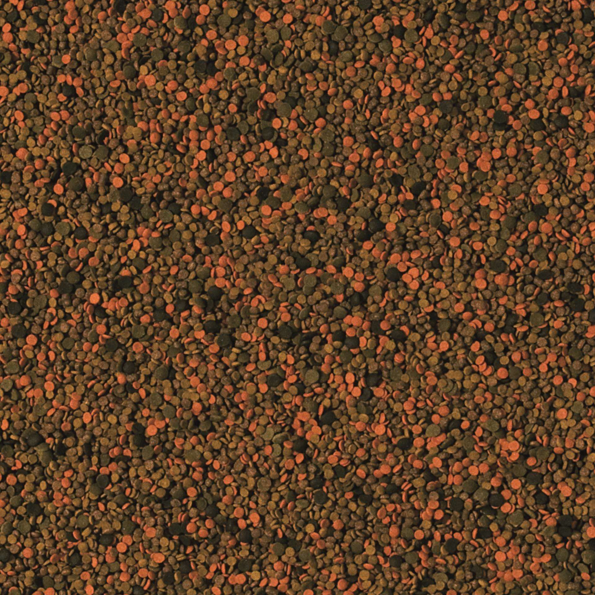 tropical-bionautic-granulat-futter-f-r-kleine-bis-mittelgro-e-meerwasserfische-5 image 2