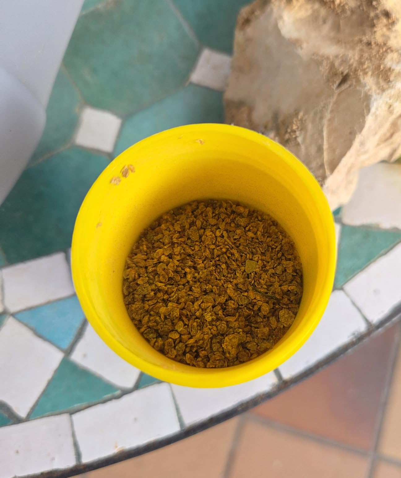 Top Aufzuchtfutter für Jungfische