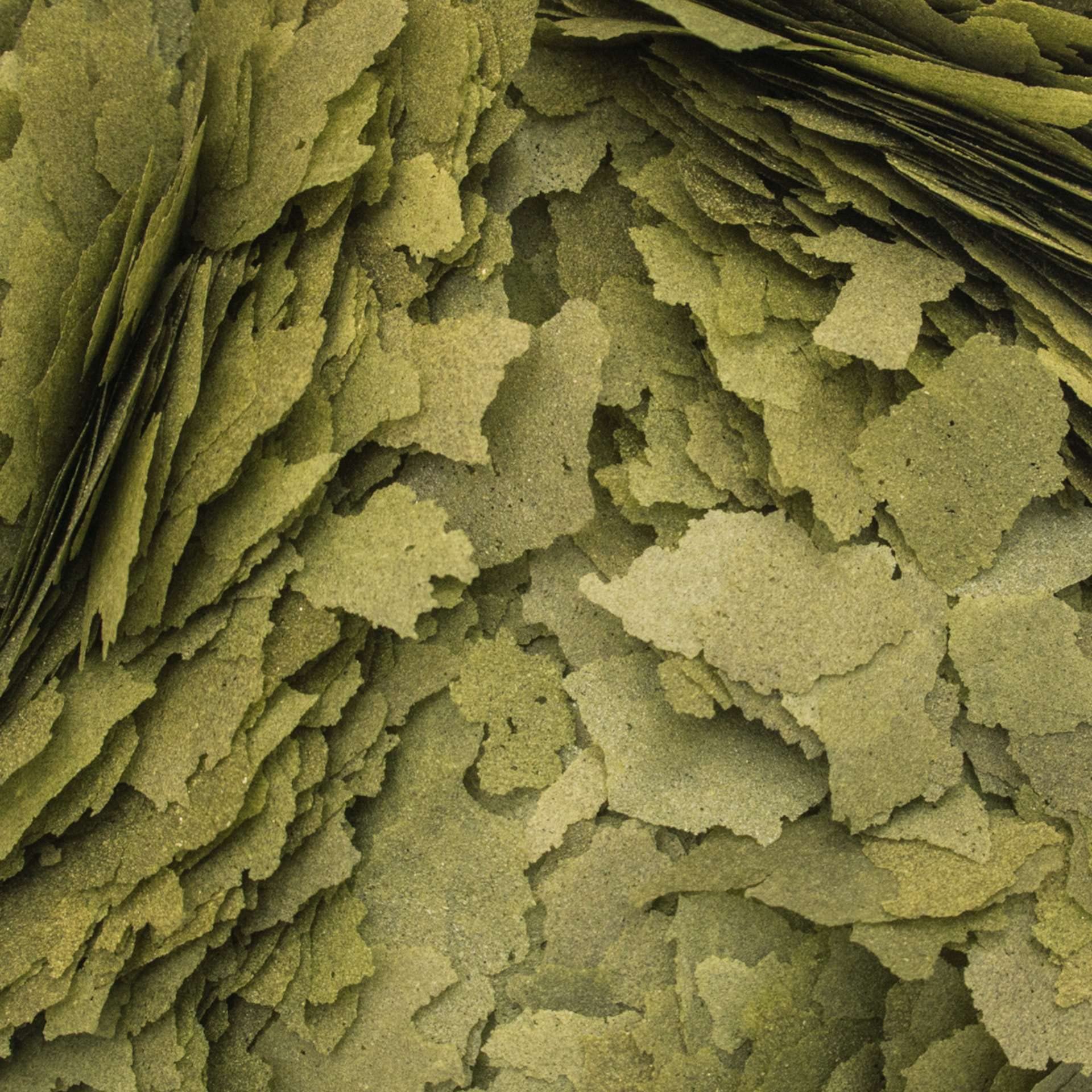 tropical-3-algae-flakes-flockenfutter-100-ml-20-g image 2