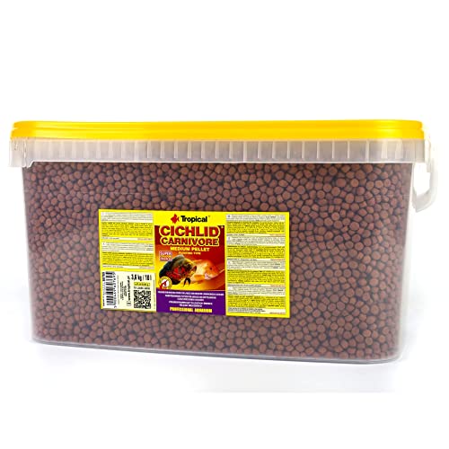 tropical-cichlid-carnivore-pellet-m-10l-schwimmendes-farbfutter-f-r-fleischfress image 3