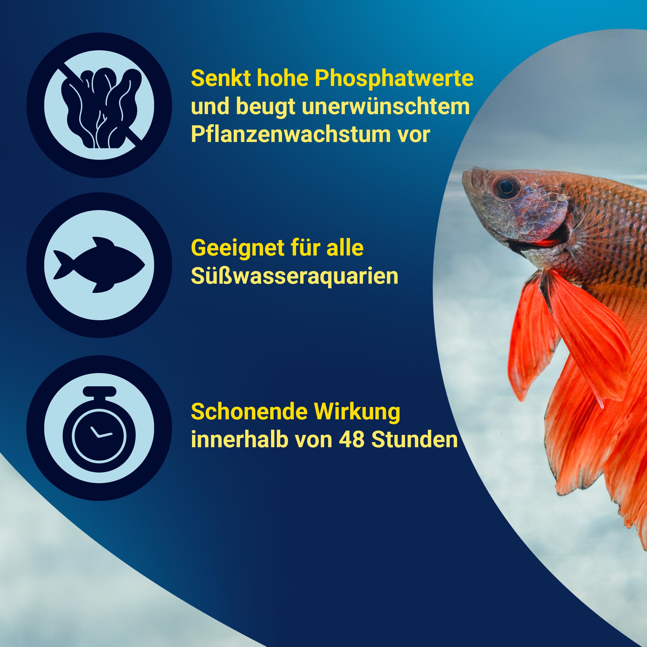 tetra-phosphateminus-phosphatentferner-250-ml-gegen-algen-im-aquarium image 4