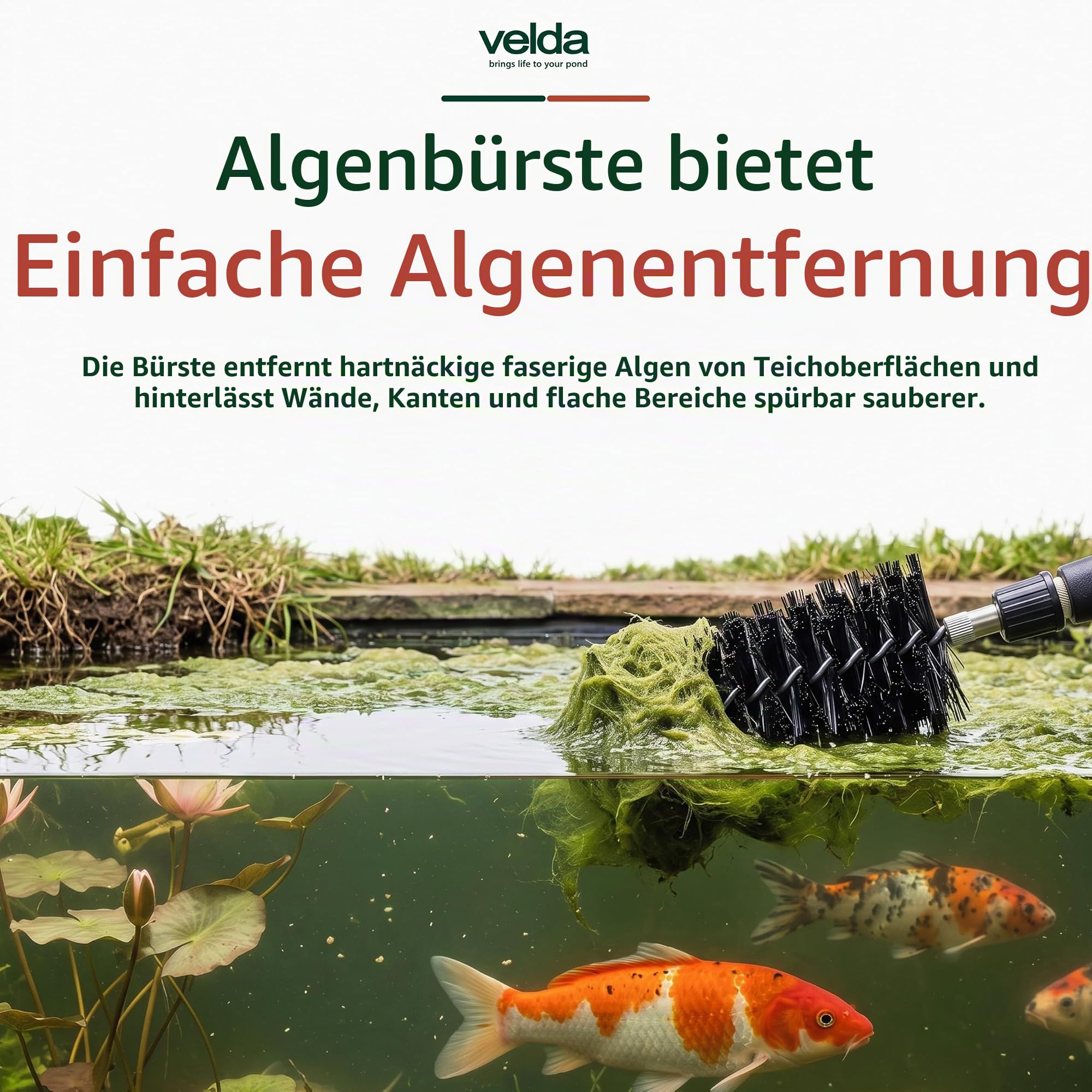 velda-algae-brush-fadenalgenb-rste-mit-teleskopstiel-f-r-teiche image 3