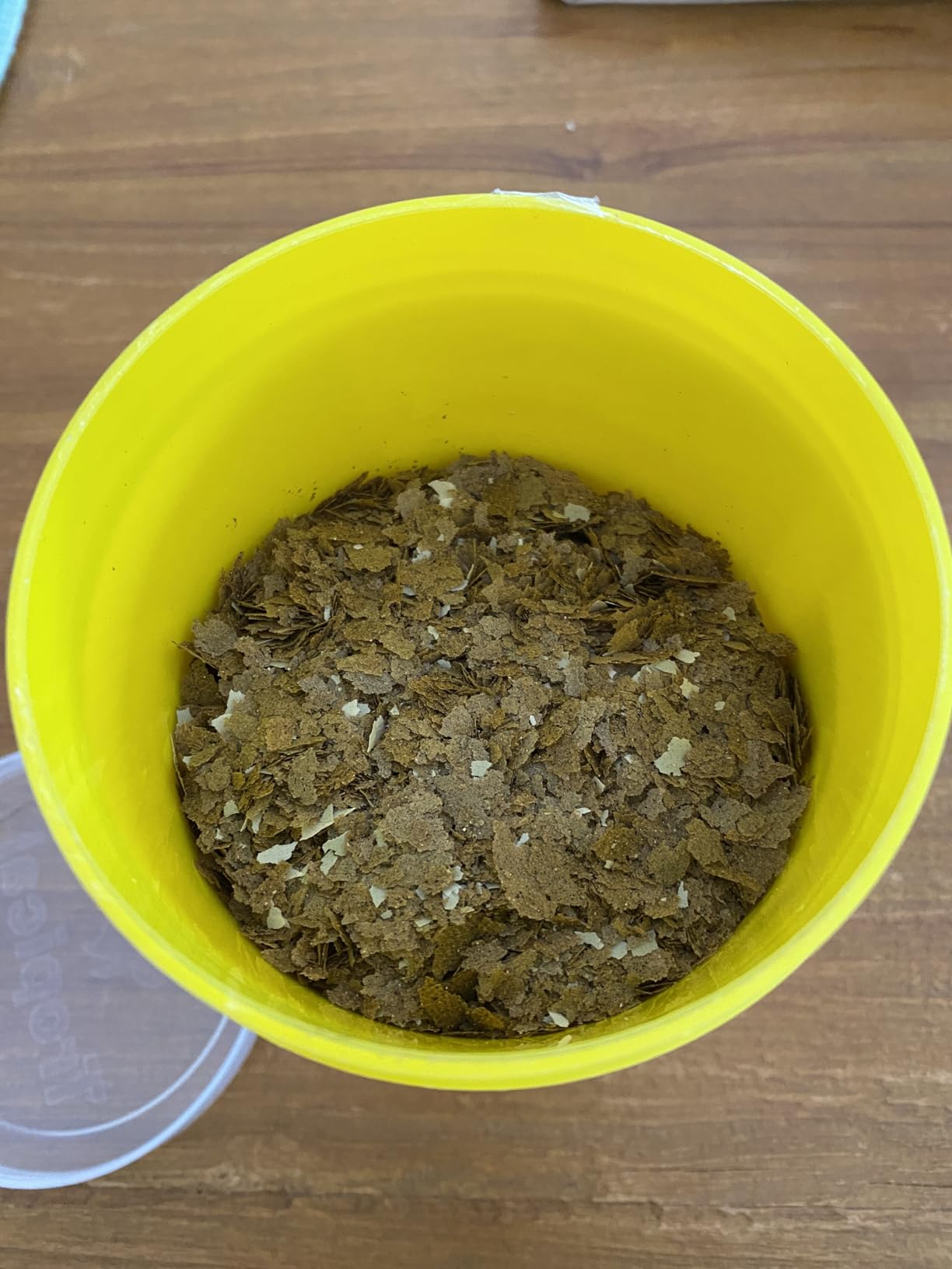 Knoblauch wirkt Wunder
