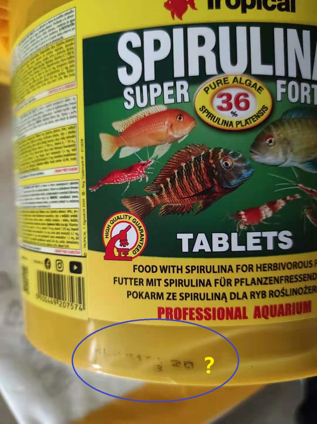 Haften super an der Scheibe