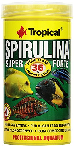 tropical-super-spirulina-forte-36-flockenfutter-250-ml-50-g image 4