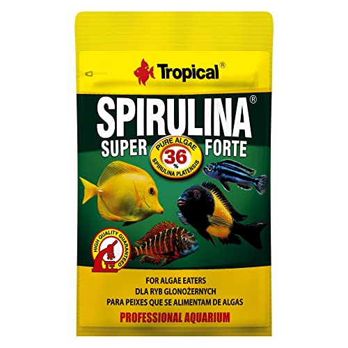 tropical-super-spirulina-forte-36-flockenfutter-12-g image 3