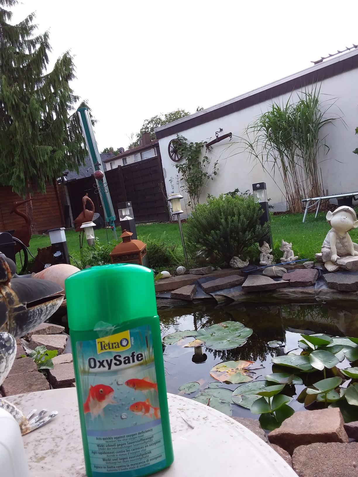 Hat Fische gerettet