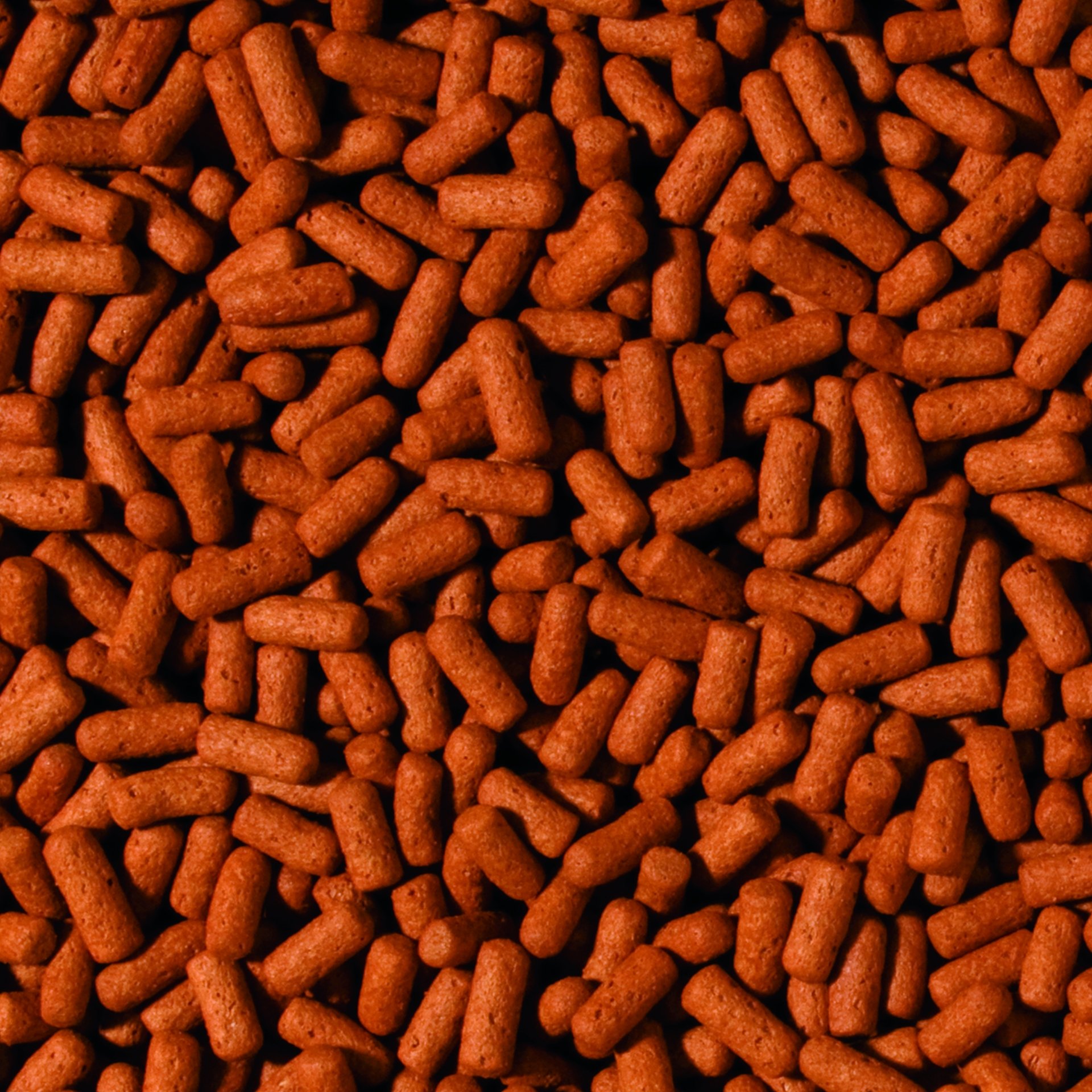 tropical-cichlid-arowana-large-sticks-1000-ml-gro-cichliden-futter image 2
