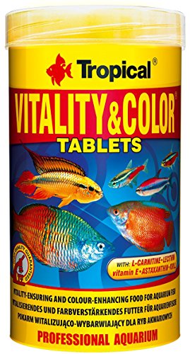 tropical-vitality-und-color-tablets-haftfuttertabletten-250-ml image 2