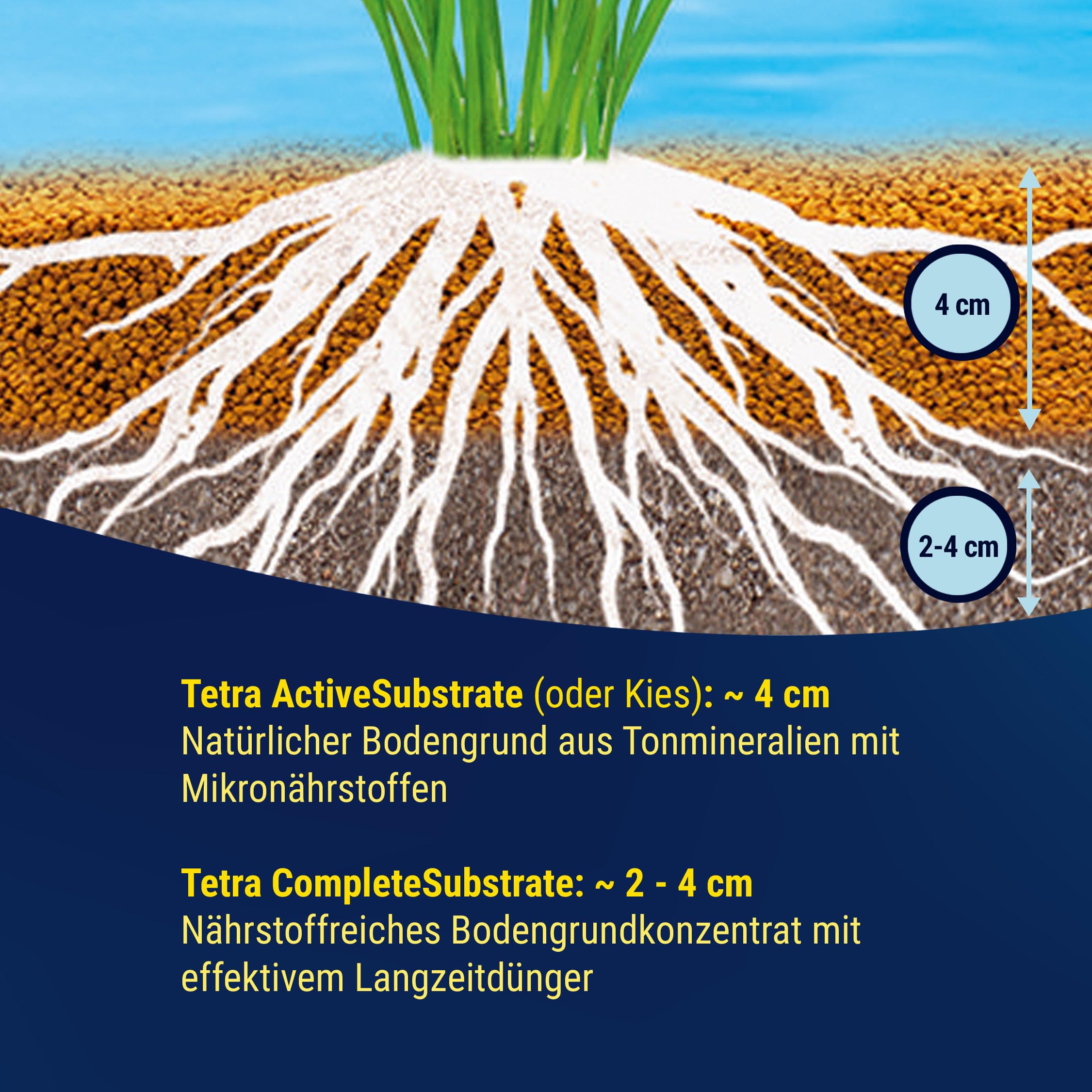 tetra-activesubstrate-pflanzenpflege-bodengrund-6-l image 8