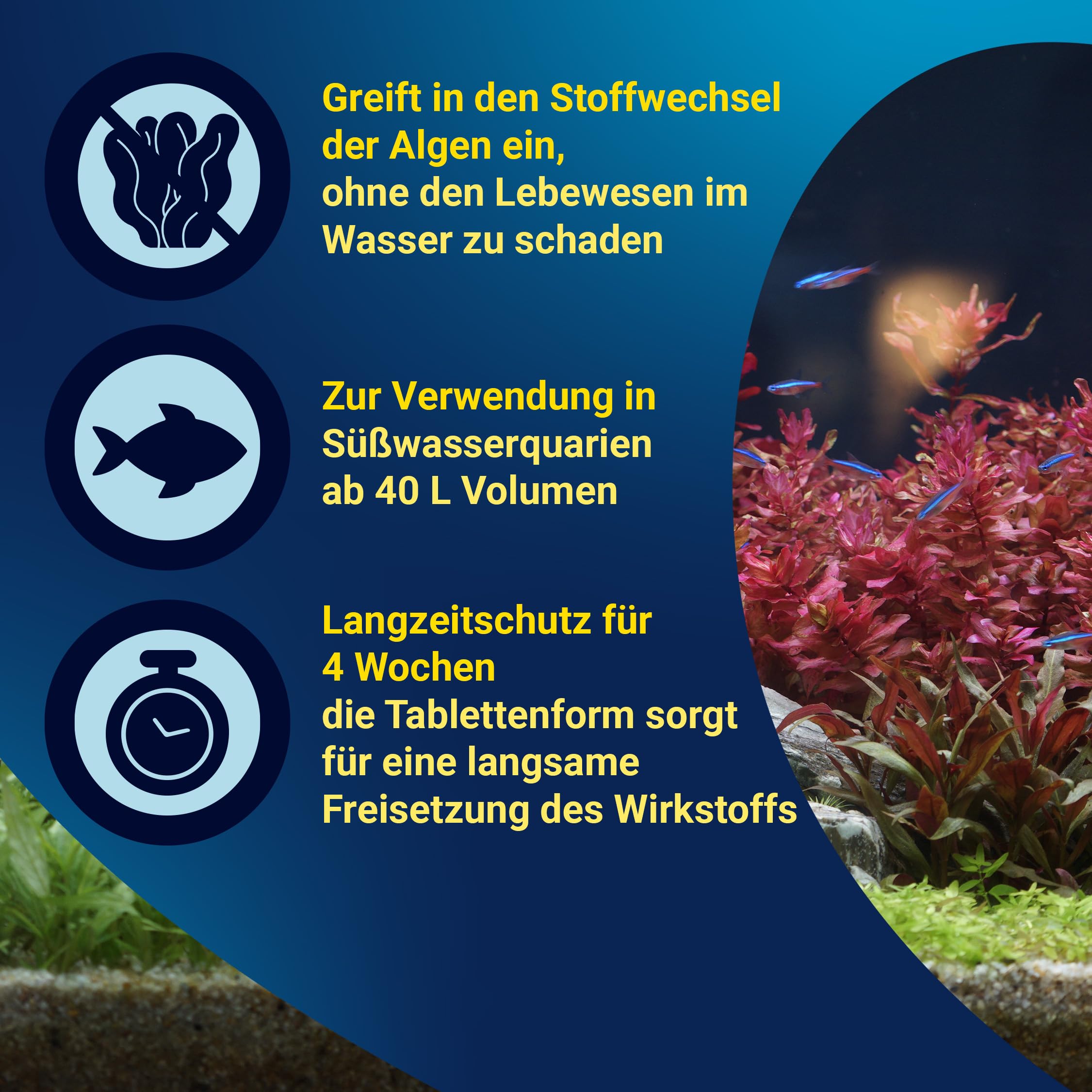tetra-algostop-depot-algenbek-mpfung-12-tabletten-f-r-aquarien image 4