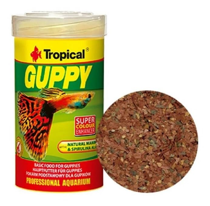 tropical-guppy-flockenfutter-f-r-guppys-und-lebendgeb-rer-100-ml image 5