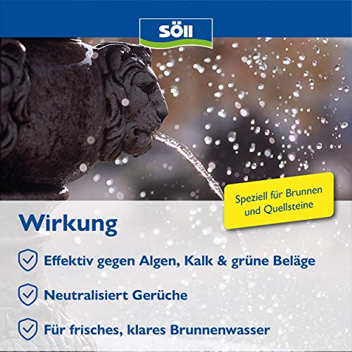 s-ll-80830-zierbrunnenklar-zierbrunnenreiniger-1-l image 7