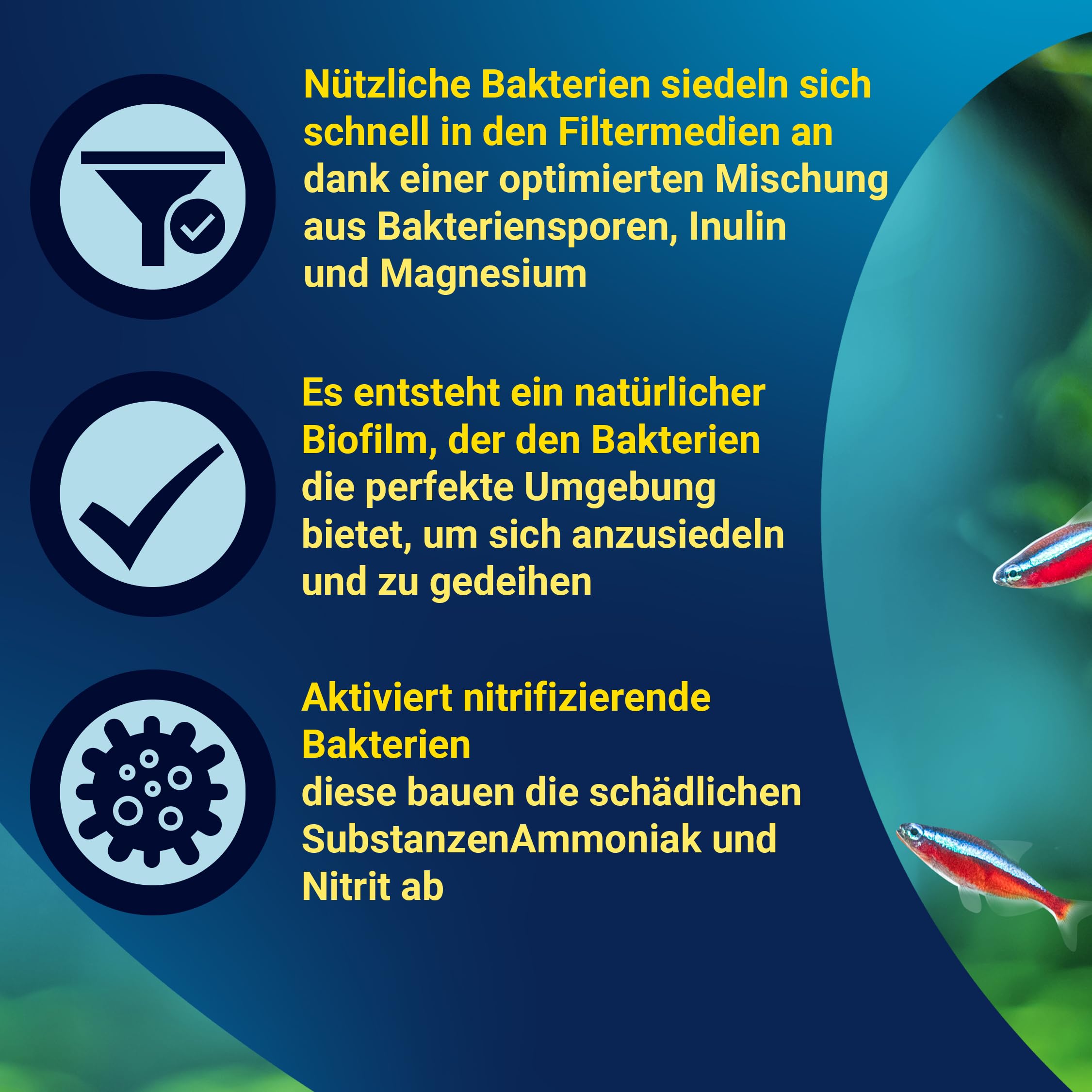 tetra-bactozym-tabletten-zur-wasseraufbereitung-10-st-ck image 4