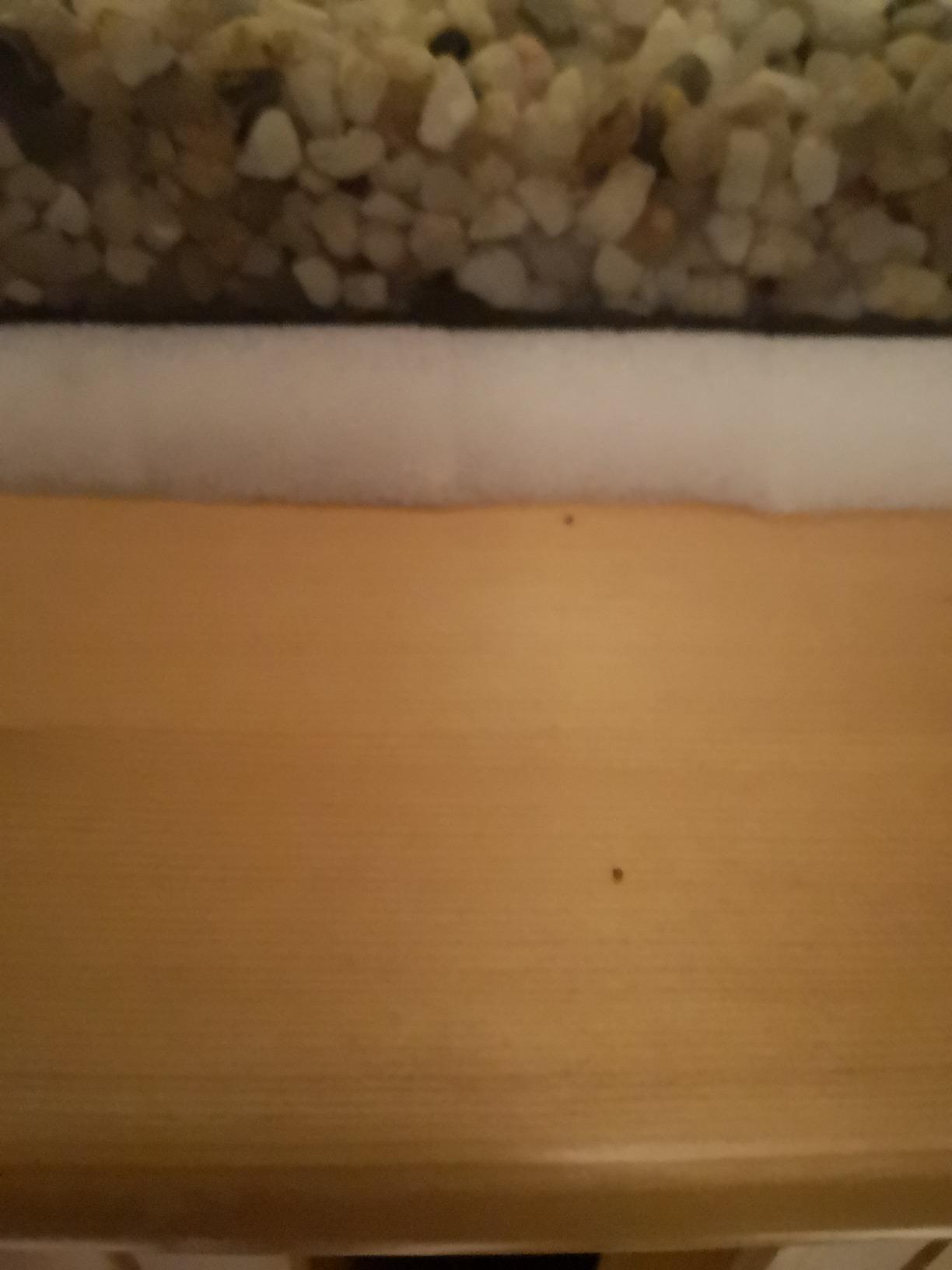 Ordentlich, etwas hart
