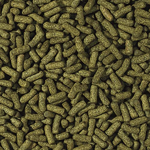 tropical-cichlid-spirulina-large-sticks-250-ml-spirulinafutter-f-r-cichliden image 4